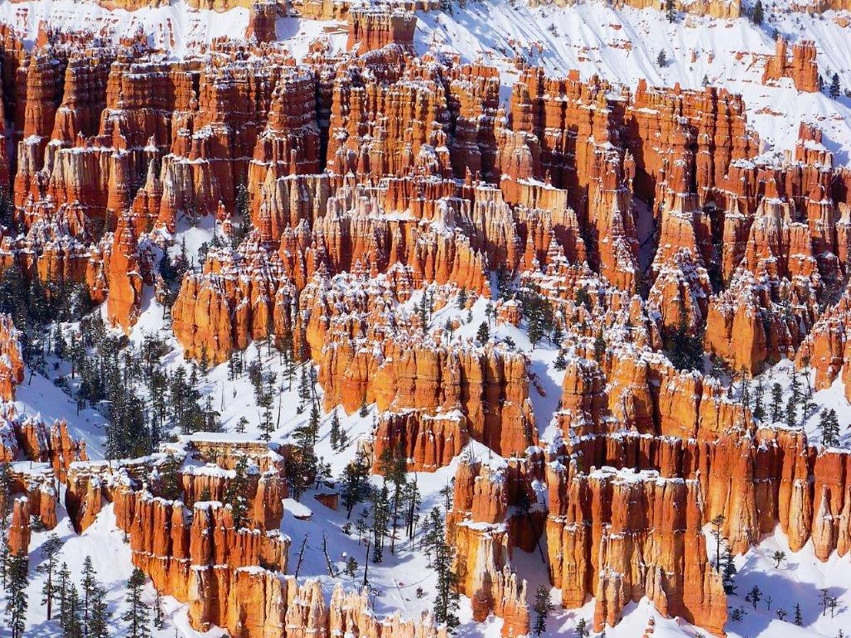 Vibrant orange hoodoos of Bryce Canyon covered in fresh snow, showcasing a stunning winter landscape.