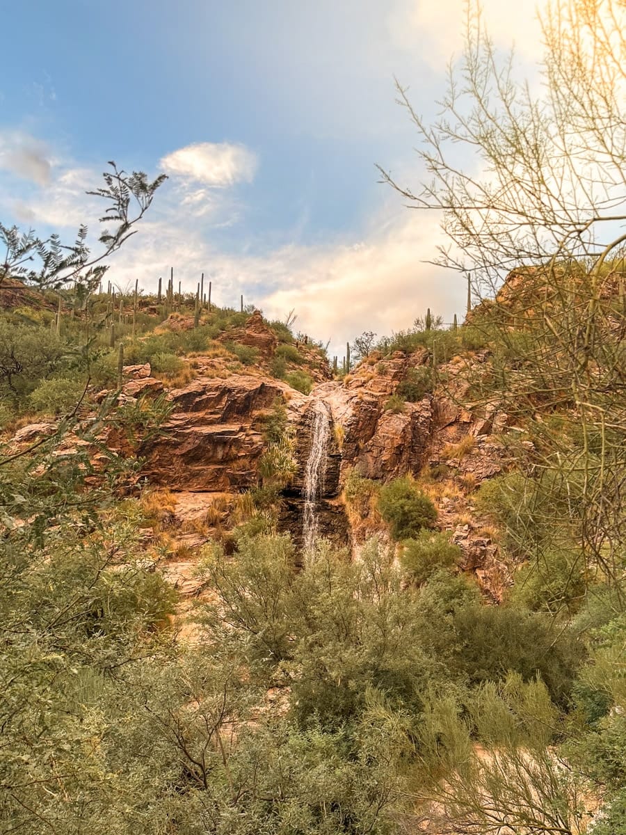 a beautiful waterfall in sabino canyon in tucson