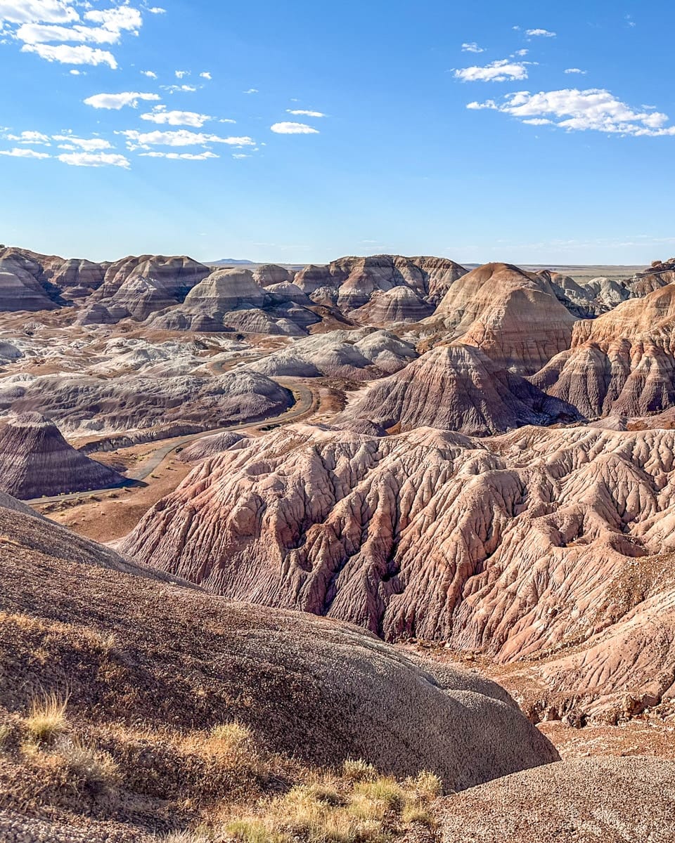 petrified forest national park in arizona