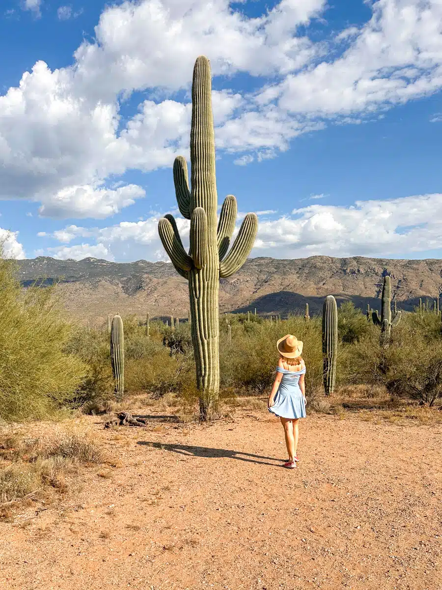 the author's wife posing in tucson in saguaro national park