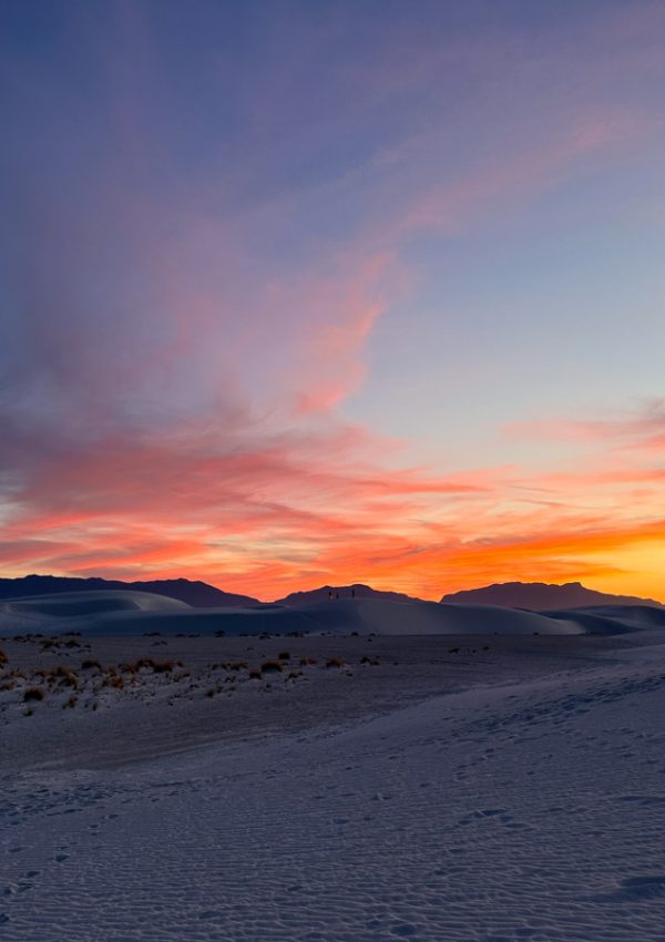 Best Time to Go to White Sands National Park (Local’s Guide)