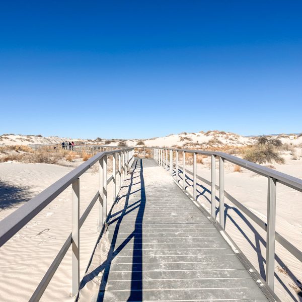 10 Awesome Things to Do at White Sands National Park