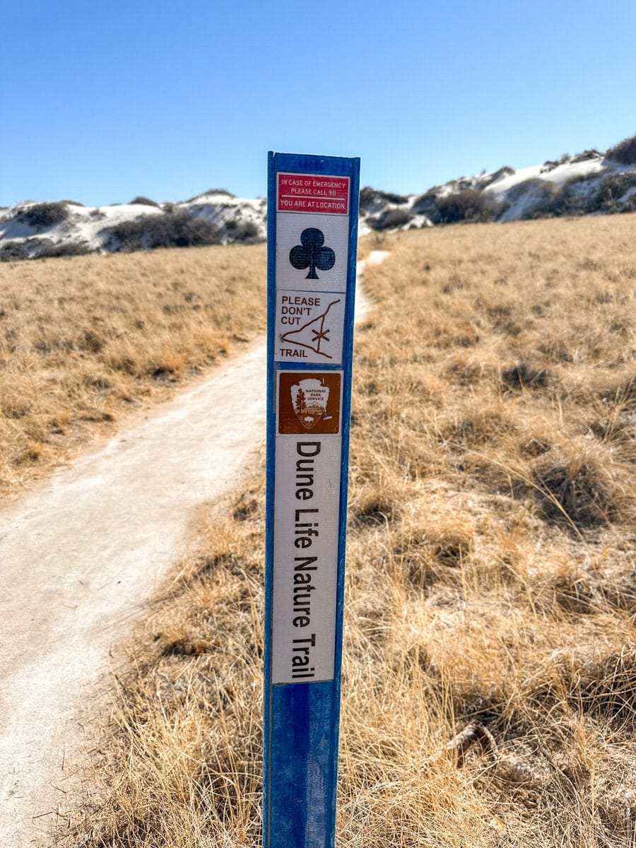 dune life nature trail in alamogordo white sands