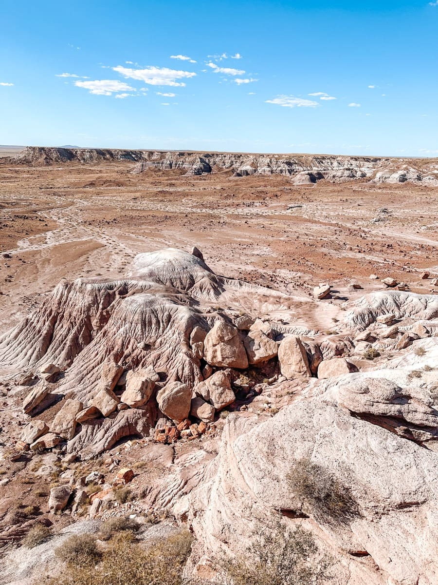 A wide desert panorama inside Petrified Forest National Park in Arizona, showcasing the multicolored badlands with striped rock formations and scattered boulders. The landscape appears dry and rugged under a clear blue sky, revealing millions of years of erosion and fossil-rich terrain.