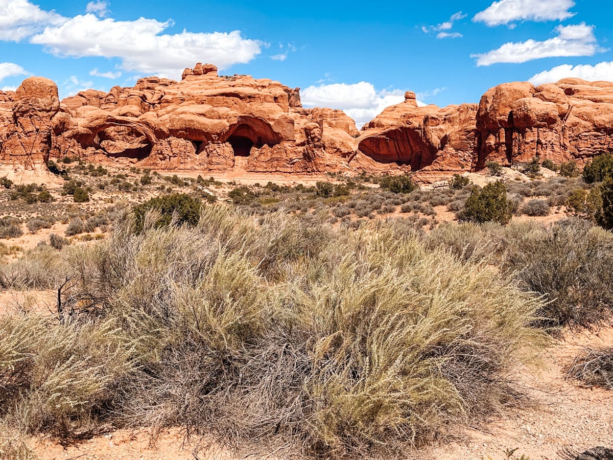A wide landscape shot of Arches National Park in Utah, with a foreground of desert shrubs and a stunning backdrop of large red rock formations featuring natural arches and caves. The blue sky with fluffy white clouds adds contrast to the earthy tones of the desert terrain.