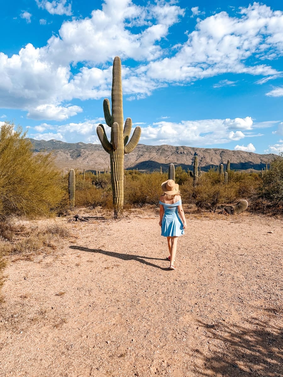 A woman in a light blue dress and wide-brimmed straw hat walks along a dusty trail in Saguaro National Park, Arizona. Towering saguaro cacti stretch into a bright blue sky dotted with fluffy clouds, while the rugged desert landscape and distant mountain range set the scene for a perfect fall adventure.