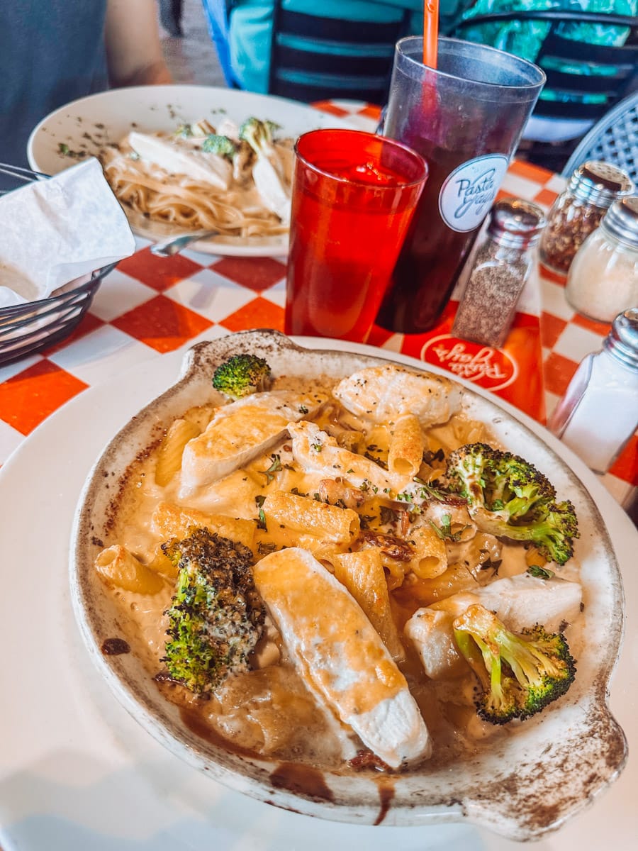 Close-up of a creamy chicken and broccoli pasta dish served at Pasta Jay’s in Moab, Utah, with red plastic cups and a second pasta dish visible in the background.