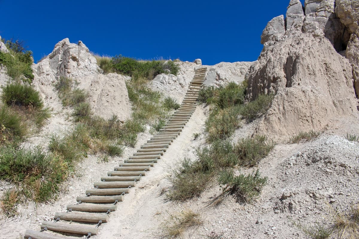 Wooden ladder climbing up a steep section of the Notch Trail, surrounded by rocky formations and desert vegetation.