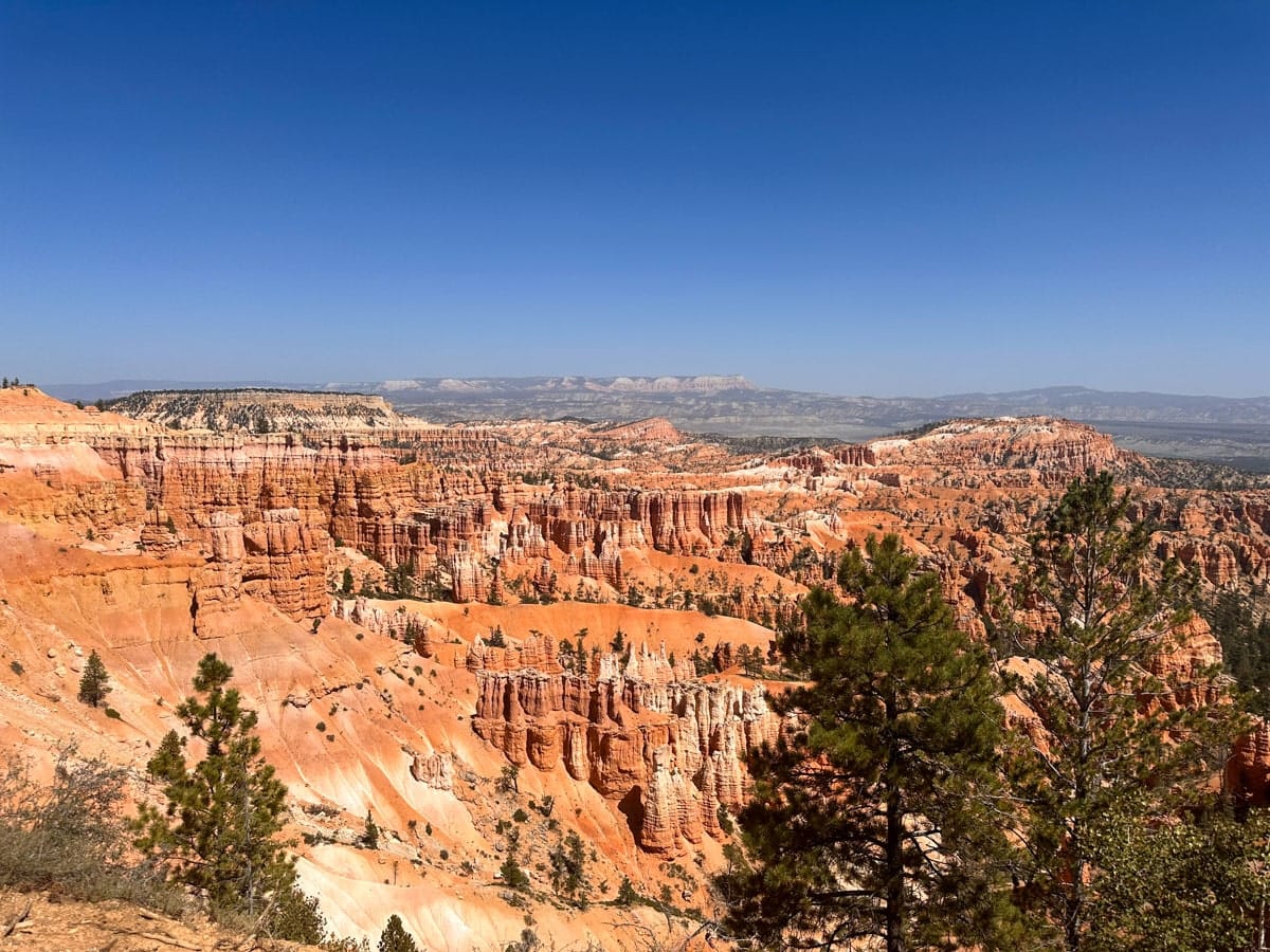 stunning red hoodoos of the bryce canyon amphitheater