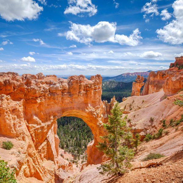 bryce canyon