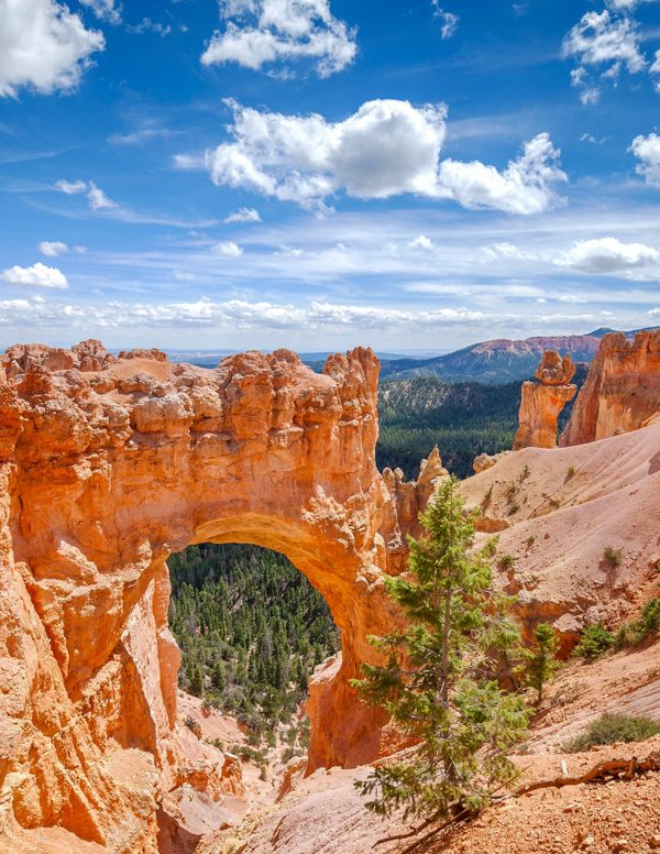 One Day in Bryce Canyon National Park Itinerary: Instagrammable & Fun