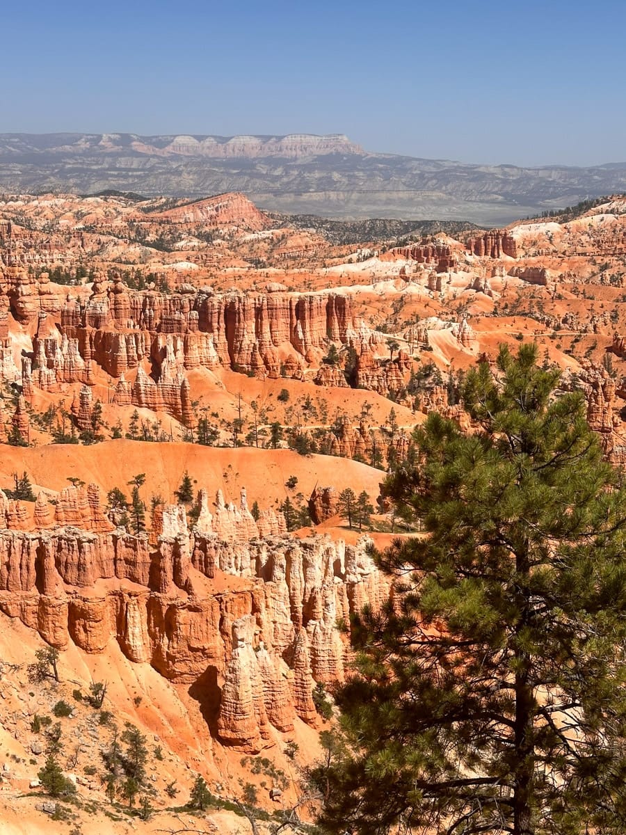 stunning views of bryce canyon from the sunrise point with orange and white hoodoos everywhere
