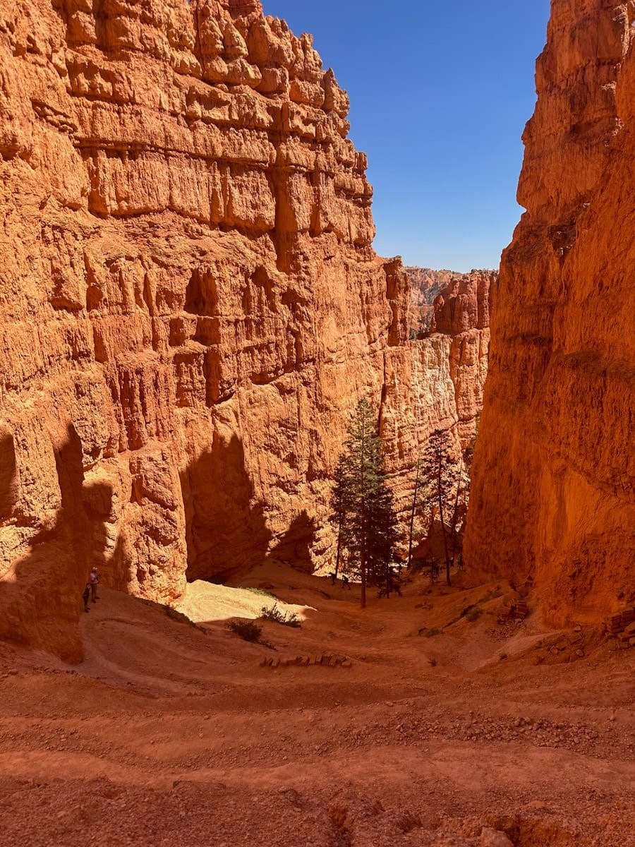 famous wall street section of the navajo loop trail