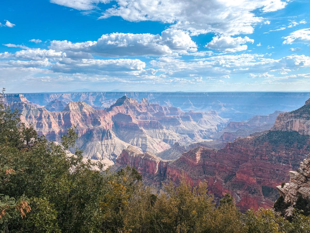 stunning picture of the grand canyon north rim