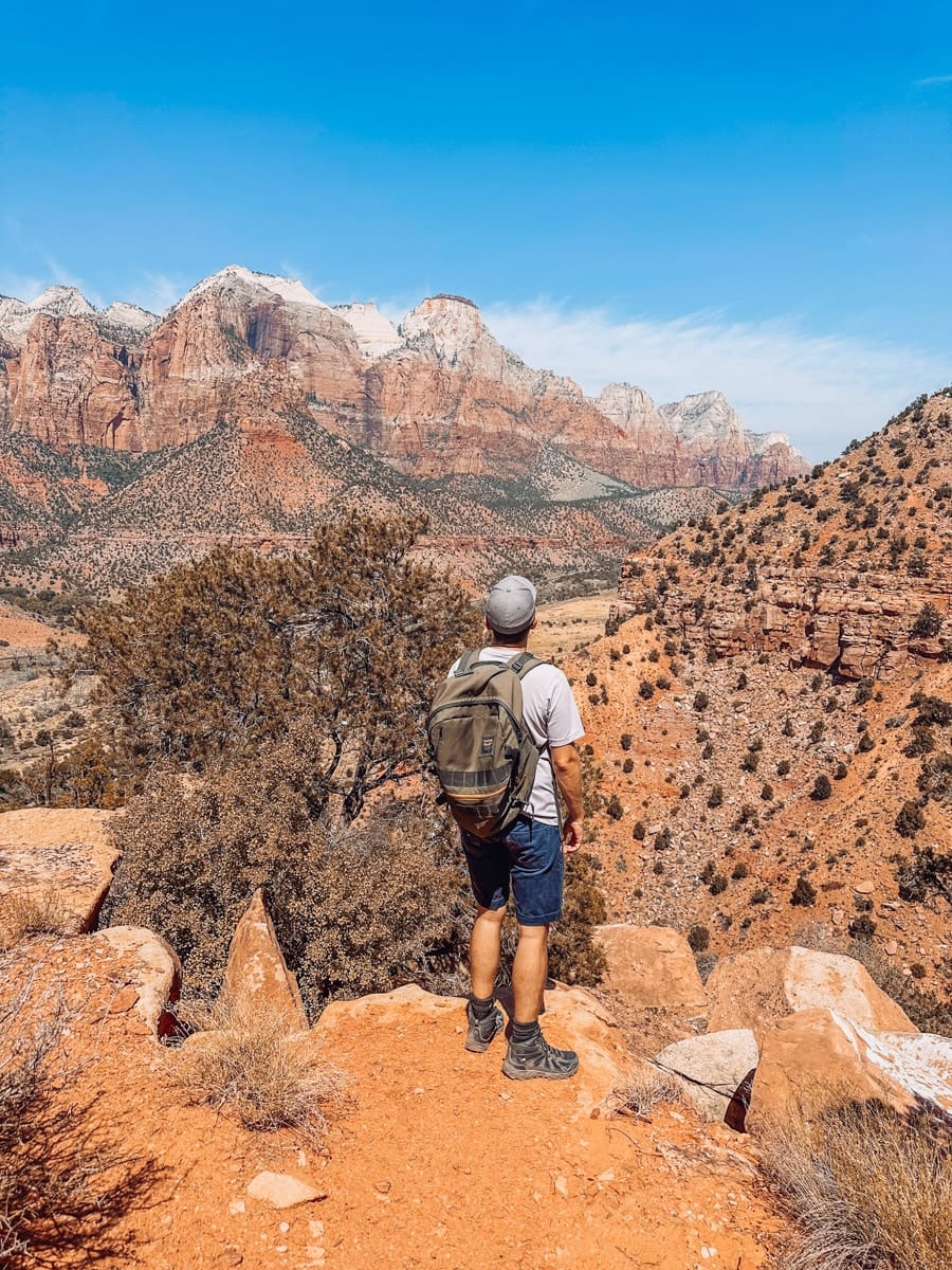the author overlooking stunning zion national park