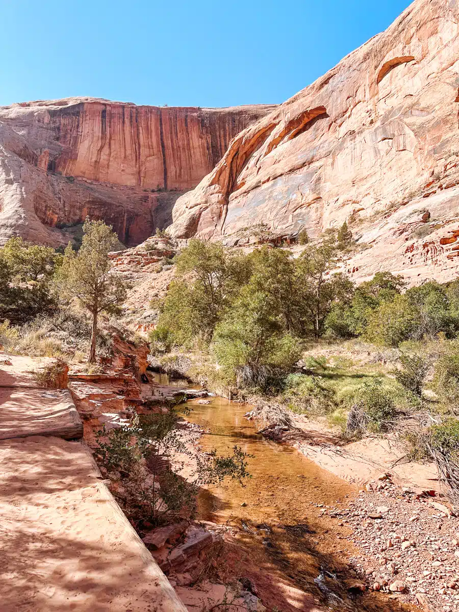 Clear shallow stream winding through red sandstone canyon with cliffs and greenery in Moab, Utah