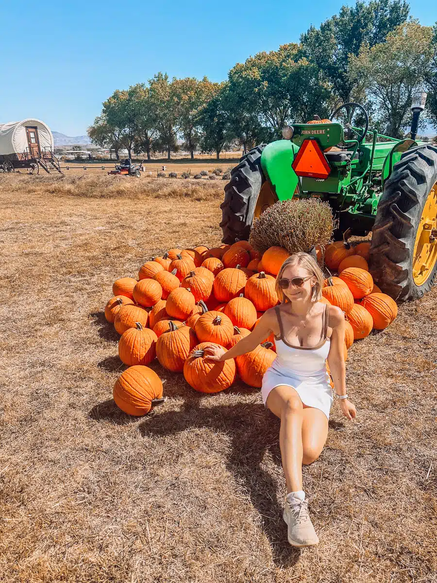 Woman sitting next to a pile of pumpkins by a green tractor on a sunny autumn day at a farm.