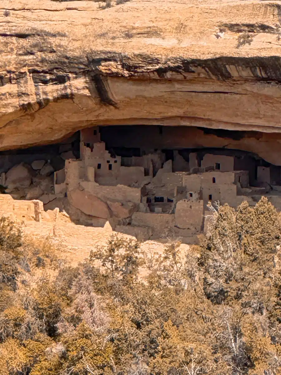View of the ancient cliff dwellings at Mesa Verde National Park surrounded by early fall colors.