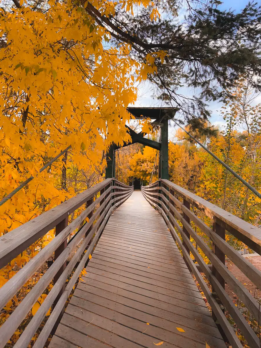 stunning fall foliage over a bridge on the animas river trail