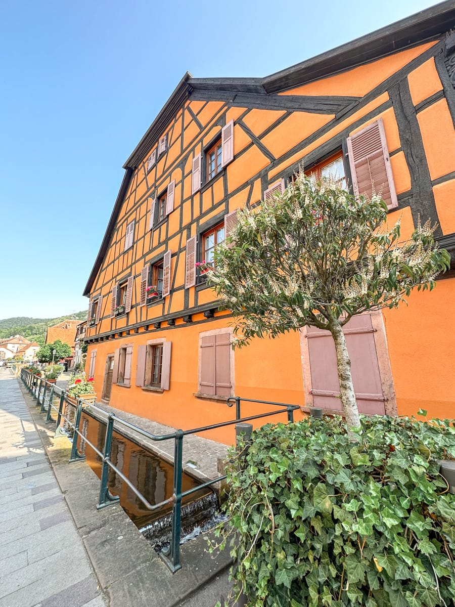 cute orange house and small canal in ribeauville